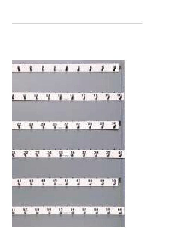 Lund catalog fixed-auto