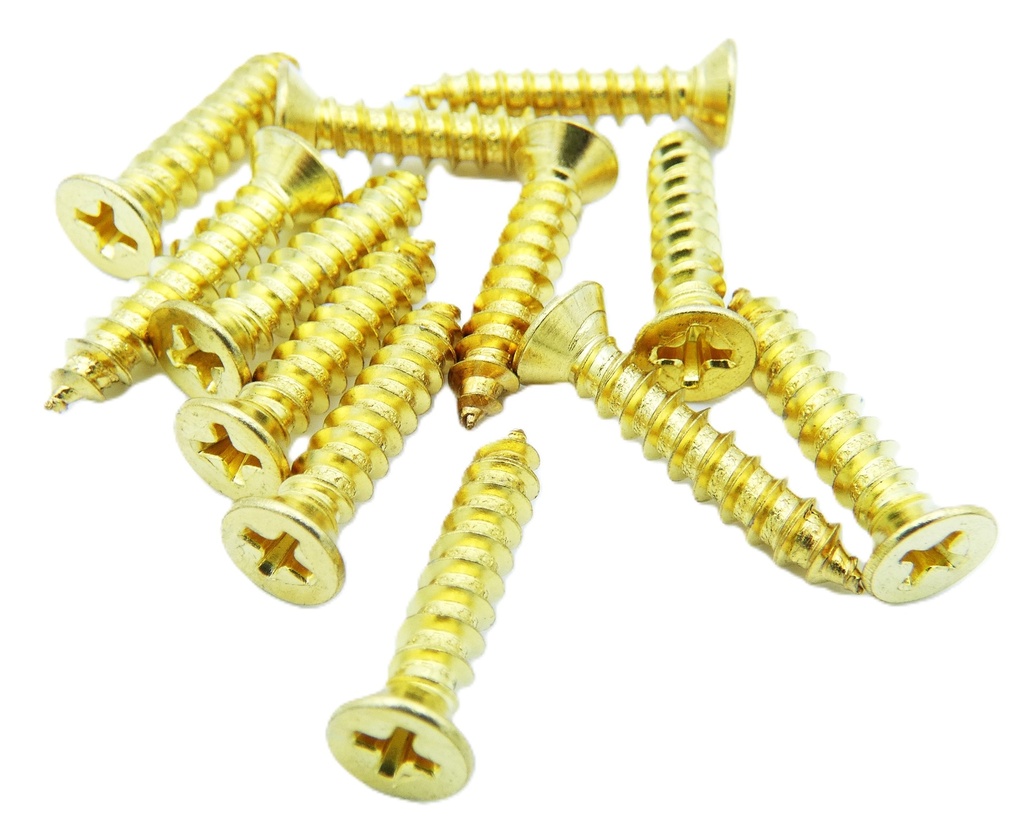 GKL HSP-WSBBR-US3 Bright Brass Retrofit Wood Screws, 12-Pack