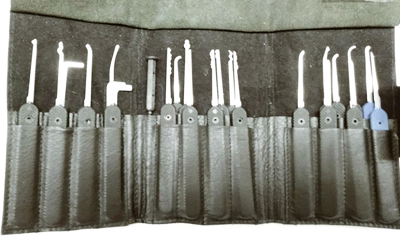 Peterson GSP Phoenix Silver Pick Set