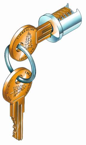 CompX Timberline C200LP-8 Removable Lock Plug Cabinet Lock